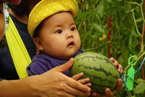 黑料吃瓜网apk普通安装 