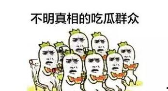 黑料吃瓜网apk普通安装