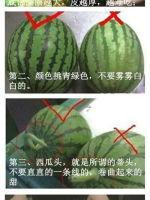 开封人医 